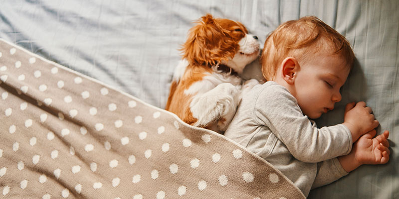 The Do’s and Don’ts of Roofing