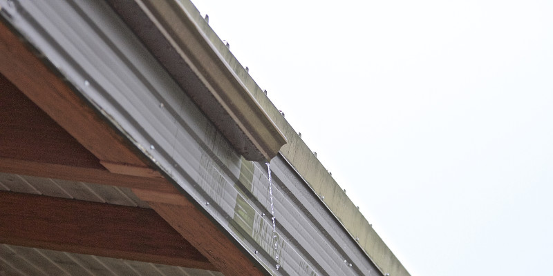 Home Gutters in Burlington, North Carolina