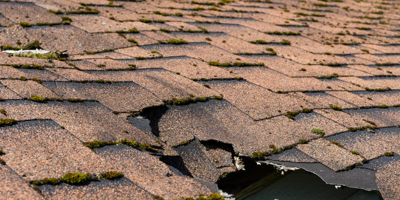After the Storm: Our Expert Methods for Repairing and Restoring Storm Damage