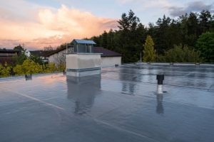 A Roofer's Guide: Choosing the Best Commercial Roof Coatings for Your Needs