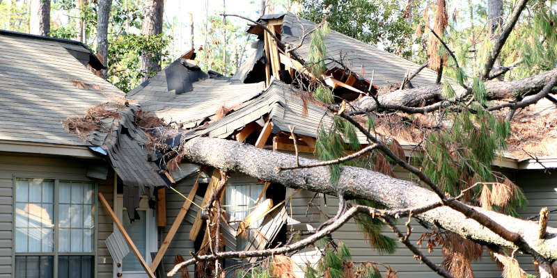 What to Do If Your Property is Affected by Storm Damage