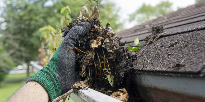 Five Helpful Roof Maintenance Tips to Make Your Roof Last