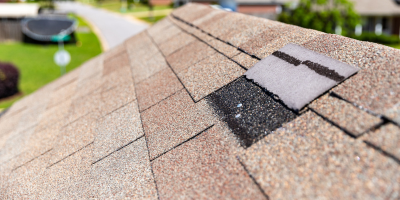 What We Look for in a Roof Inspection