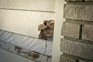 Warning Signs That It’s Time for a Siding Replacement