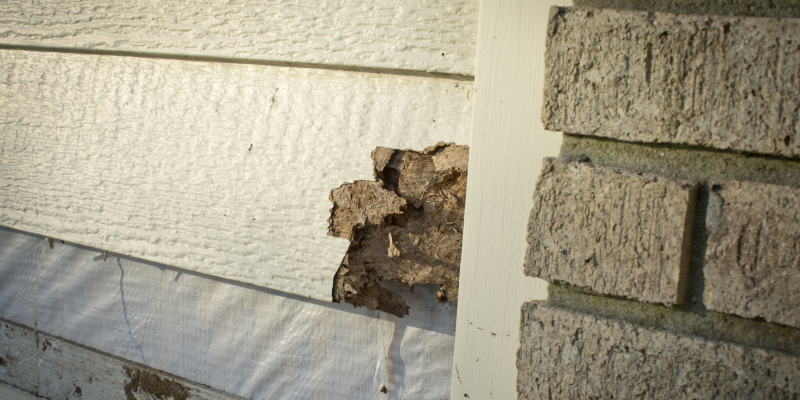 Warning Signs That It’s Time for a Siding Replacement